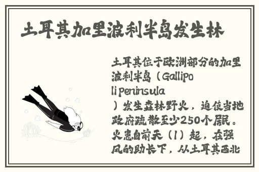 日产精品卡一卡二卡三的概述